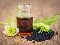 فروش روغن سیاه دانه 