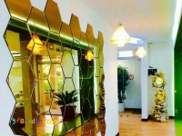 تزئینات داخلی شیشه واینه