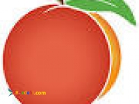 هر آنچه که یک حسابدار باید بداند