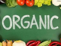 مشاوره کشت، تولید و فروش محصولات ارگانیک