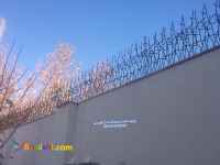 حفاظ روديواري