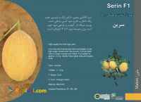 بذر ملون سرین serin 