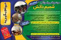 دیپلم بگیرید