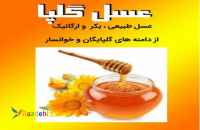 عسل طبیعی گلپا