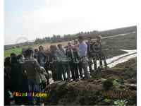 مشاوره ورمی کمپوست