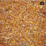 فروش جو و ذرت روس