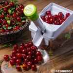 هسته گير البالو