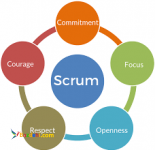 آموزش تحلیل فرآیند، مدیریت پروژه، طراحی و برنامه نویسی