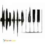 گروه موسیقی ( اجرای انفجاری موسیقی زنده ی کردی )