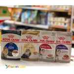 پوچ گربه رویال کنین برای زیبایی پوست و مو در سوپ گوشت