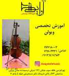 آموزش تخصصی ویلون در تهرانپارس