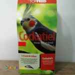 غذای عروس هلندی تاپ فید