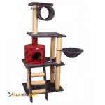 اسکرچر و درخت گربه