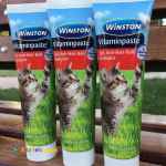 مالت گربه وینستون