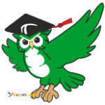 معرفی سایت تدریس خصوصی تیچ اسکول