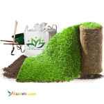 طراحی،اجرا و نگهداری فضای سبز(روف گاردن٬دیوار سبز و ...)