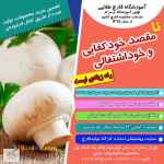 آموزش پرورش قارچ خوراکی، صدفی و گانودرما