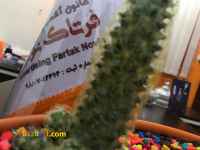 بهترین تبلیغات اینترنتی را با ما تجربه کنید