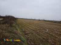  فروش فوري استثنايي زيرقيمت شاليزار گيلان