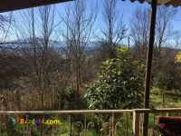 ويلا با محوطه  1000متري