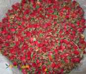 فروش غنچه و پر خشک گل رز