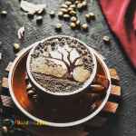 برگذاری دوره باریستا و کافی من 