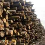 تأمین کننده خاک زغال و خاک اره و...آرتازغال