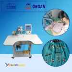 فروش دستگاه نگین زن دو مخزنه جدید اورگان.