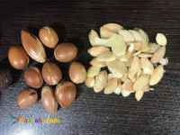 فروش دانه های روغنی و روغن های گیاهی و طبیعی