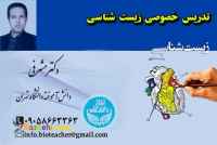 معلم و دبیر خصوصی زیست شناسی تضمینی کنکوری آنلاین