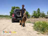 فروش ژرمن سگ همراه
