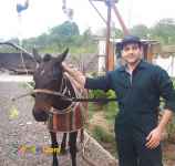 دامپزشکی در آستانه اشرفیه