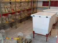 دوره آموزش پرورش زالو طبی به صورت کامل و جامع 