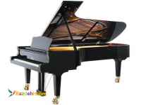 بهترین آموزشگاه موسیقی تهرانپارس