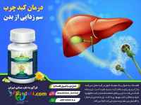 کپسول گیاهی قاصدک درمان کننده کبد چرب و دیابت
