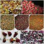 فروش غنچه(سرگل) خشک گل رز