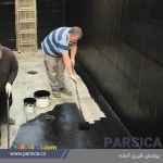 پوشش قیری پارسیکا