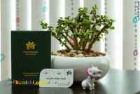 کلینیک دامپزشکی آرنا