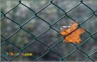 توری حصاری فنس