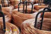 تولید و پخش مفتول مسوار 