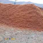 بازرگانی خوراک دام