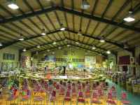 بنیاد بین المللی خیریه آبشار عاطفه ها