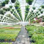 کارگاه های آموزشی کارآفرینی کشاورزی،باغبانی،شیلات،دام،طیور و طب سنتی