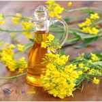 روغن کلزا ( کانولا ) به صورت ظرفی و فله