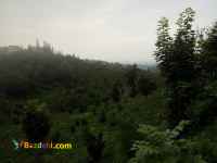 فروش  زمین 1100 متری کوهستانی رانکوه