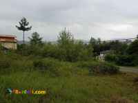 فروش زمین 3000 متری با پروانه در لنگرود