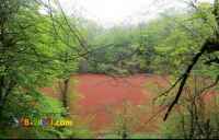 تور یکروزه مرداب هسل