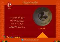 بست کفی فولادبست ایرانیان