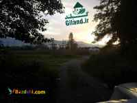 فروش زمین ساحلی 11870 متر در چابکسر 