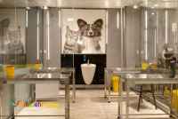 کلینیک دامپزشکی و بیمارستان شبانه روزی حیوانات و پت شاپ درین